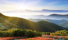 Ujian: Surat Cinta yang Mengajak Kembali ke Pelukan Ilahi