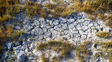Kemiskinan yang Menghasilkan Kekayaan: Rahasia Mengenal Diri dan Sang Pencipta