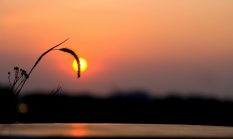 Kisah Mualaf: Mantan Biarawan Filipina Marco Corbus