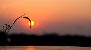 Kisah Mualaf: Mantan Biarawan Filipina Marco Corbus