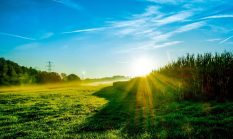 Kisah Mualaf: Ketua Komite Kristenisasi di Afrika, Mantan Pendeta Mesir Ishaq Hilal Masihah